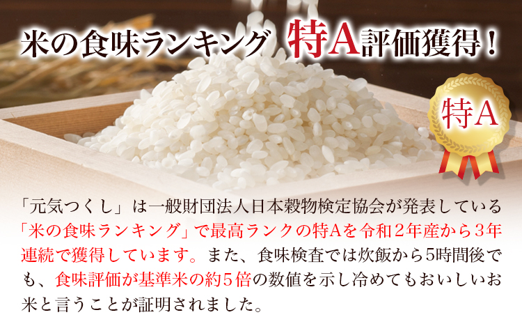 【令和7年度産】元気つくし 3kg 1袋3kg入り わだち農場《30日以内に出荷予定(土日祝除く)》福岡県 鞍手郡 鞍手町 米 コメ 元気つくし 袋 ちらし寿司 こめ---skr_ysmsgtk_30d_25_10500_3kg---