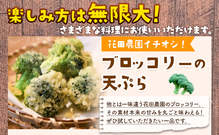 ブロッコリー 花田農園 の ブロッコリー 20個 花田農園 《11月下旬-3月末頃出荷》福岡県 鞍手町 ぶろっこりー 野菜 ブロッコリー 産地直送 送料無料---skr_chndbr_cf113_25_12000_7kg---