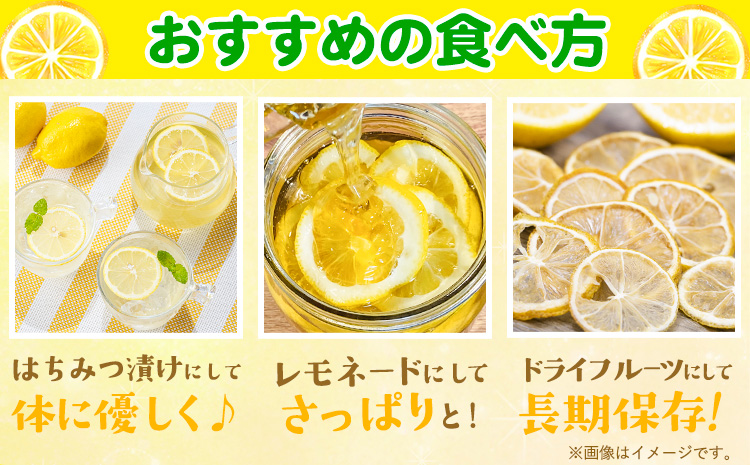 レモン 訳あり 5kg マルセイ株式会社《11月上旬-1月末頃出荷》レモン フルーツ スイーツ くだもの 果物 レモン果汁 ふるさと納税 福岡県 鞍手町---skr_mslm_af111_r7_9000_5kg---