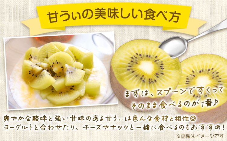 ☆2026年出荷☆ 甘うぃ 約1.4kg 9-20玉前後《10月中旬-11月末頃出荷》福岡県 鞍手郡 鞍手町 キウイフルーツ キウイ 福岡県オリジナル 新品種 甘うぃ 果物 くだもの フルーツ【配送不可地域あり】---iskr_clfkaw_bc10_26_12500_1400g---