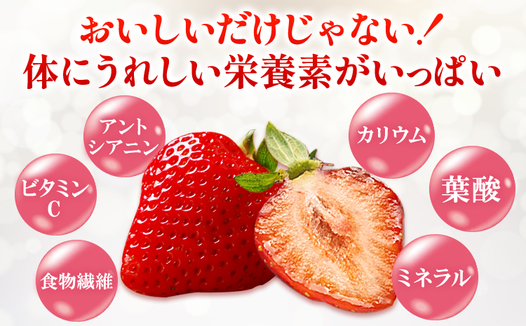 福岡県産 冷凍あまおう 小分けパック 1kg(250g×4袋) 株式会社木村食品《30日以内に出荷予定(土日祝除く)》福岡県 鞍手町 冷凍あまおう いちご 冷凍フルーツ 果物 送料無料---skr_fkmramo_30d_r7_11500_1kg---