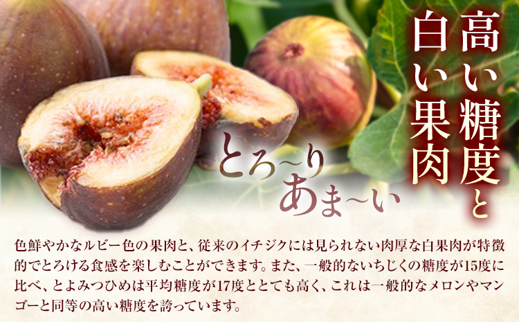 いちじく 無花果 とよみつひめ 約1.2kg 約300g × 4パック 南国フルーツ株式会社【26年度出荷】《8月上旬-10月中旬頃出荷》福岡県 鞍手町 福岡県産 いちじく フルーツ 果物---skr_cnngkt_ae810_26_13000_4p---
