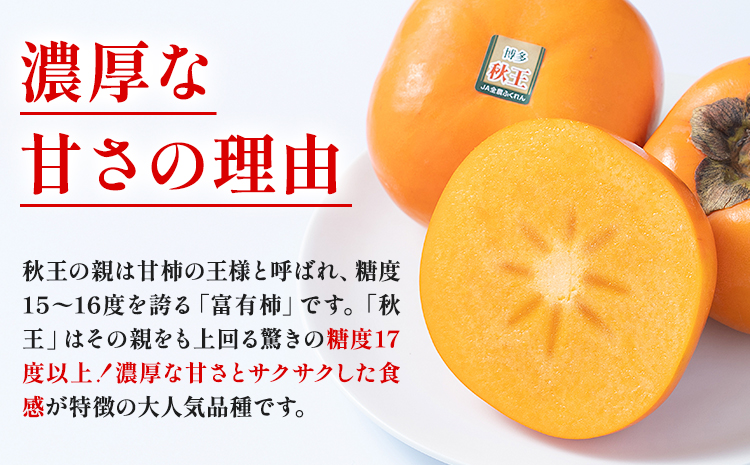 柿 秋王 約1.5kg（4-6玉） 南国フルーツ株式会社【26年度出荷】《10月中旬-11月末頃出荷》福岡県 鞍手町 福岡県産 柿 フルーツ 果物---skr_cnngka_bc10_26_17000_6i---