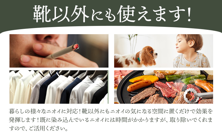 インソール 消臭 漆Ｉder A 黒 あらい有限会社《30日以内に順次出荷(土日祝除く)》 靴 消臭 漆 長持ち インソール ---kr_araiurusia_30d_r7_17000_b1s---