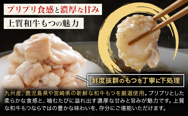 もつ鍋 醤油味 セット 薬味付き ちゃんぽん麵 博多笑樂 2～3人前 地域商社ふるさぽ《90日以内に出荷予定(土日祝除く)》福岡県 鞍手町 もつ 鍋 牛モツ 醤油---skr_ffshktsym_90d_26_16500_ss---