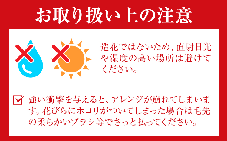 プリザーブドアレンジメント フレームLサイズ【カラー：ピンク】 花や 《90日以内に出荷予定(土日祝除く)》 花 フラワー   ---skr_pflaml_90d_r7_57000_1p_pi---