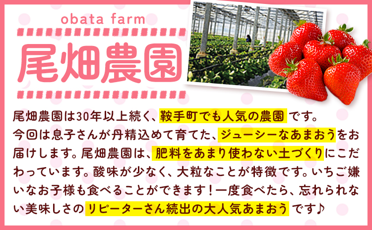 農家直送！先行予約 鞍手町産あまおう 約1080g 約270g×4パック 尾畑農園《令和8年1月中旬頃-3月中旬頃出荷》---iskr_cobau_q13_25_15000_1080g---