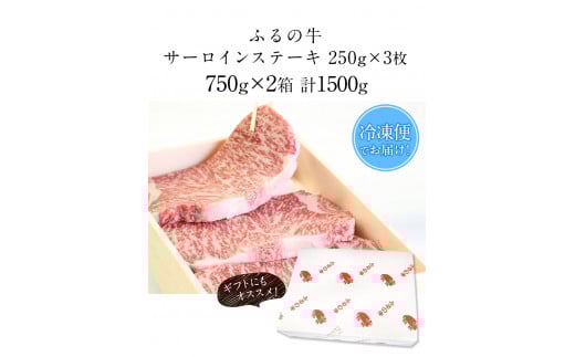 黒毛和牛特選サーロインステーキ 1500g(250g×3枚)2箱 A5 有限会社ふるの《30日以内に出荷予定(土日祝除く)》---skr_ffrnsirl_30d_r7_100000_1500g---