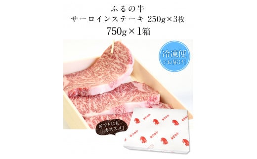 黒毛和牛特選サーロインステーキ 750g(250g×3枚) A5 有限会社ふるの《30日以内に出荷予定(土日祝除く)》---skr_ffrnsirl_30d_r7_50000_750g---