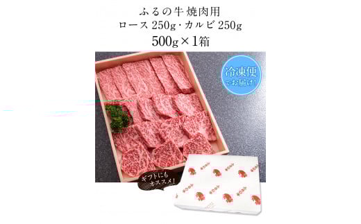 ふるの牛（黒毛和牛）特選焼肉用 500g (ロース250g、カルビ250g) A5 《30日以内に出荷予定(土日祝除く)》---skr_ffrnyknk_30d_r7_30000_500g---