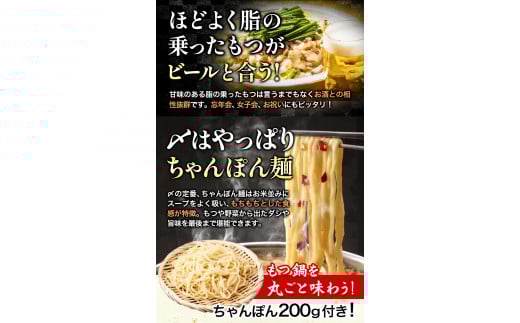 牛もつ鍋 おおいし 博多もつ鍋 味噌味 2~3人前 《30日以内に出荷予定(土日祝除く)》 株式会社大石  国産牛---skr_foismt_30d_25_18000_1s---