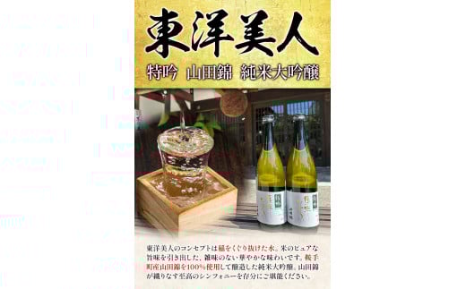 日本酒 東洋美人 特吟 山田錦 純米大吟醸 6本 計4320ml 福岡吟醸倶楽部株式会社《30日以内に出荷予定(土日祝除く)》 ---skr_gntybjn_30d_r7_60000_6i---