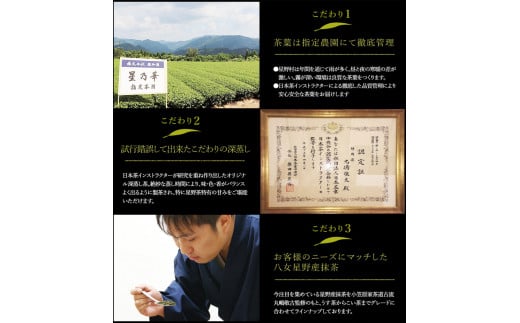 訳あり品 八女星野茶 深蒸し茶1100g 株式会社親和園《30日以内に出荷予定(土日祝除く)》 お茶 緑茶 茶 八女星野茶---skr_snwyetya_30d_r7_10000_1100g---