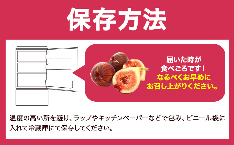 いちじく 無花果 とよみつひめ 280g×4パック《8月中旬-10月中旬頃出荷》福岡県 鞍手町 福岡県産 いちじく フルーツ 果物---skr_ctymt_26_q810_9000_1120g---