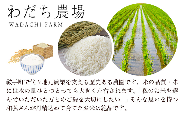 【令和7年度産】元気つくし 3kg 1袋3kg入り わだち農場《30日以内に出荷予定(土日祝除く)》福岡県 鞍手郡 鞍手町 米 コメ 元気つくし 袋 ちらし寿司 こめ---skr_ysmsgtk_30d_25_10500_3kg---