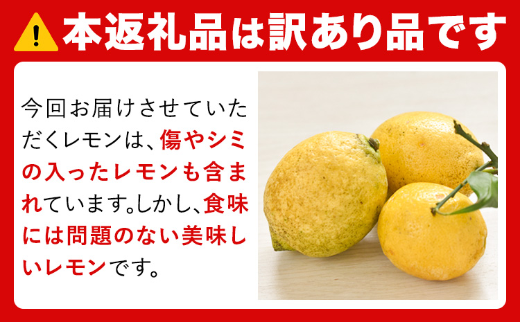 レモン 訳あり 3kg マルセイ株式会社《11月上旬-1月末頃出荷》レモン フルーツ スイーツ くだもの 果物 レモン果汁 ふるさと納税 福岡県 鞍手町---skr_mslm_af111_r7_7000_3kg---