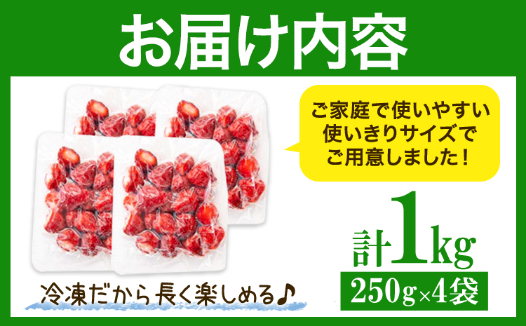 福岡県産 冷凍あまおう 小分けパック 1kg(250g×4袋) 株式会社木村食品《30日以内に出荷予定(土日祝除く)》福岡県 鞍手町 冷凍あまおう いちご 冷凍フルーツ 果物 送料無料---skr_fkmramo_30d_r7_11500_1kg---