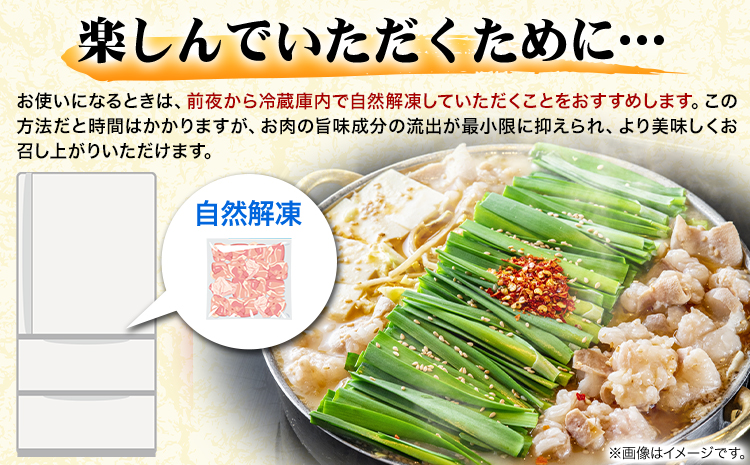 もつ鍋 博多 牛もつ鍋 セット 3-4人前 株式会社木村食品《30日以内に出荷予定(土日祝除く)》福岡県 鞍手郡 鞍手町 牛 牛肉 もつ 鍋 送料無料---skr_fkmrmt_30d_r7_11500_4p---