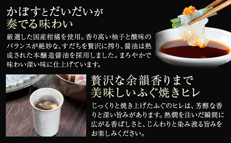 国産 とらふぐ 満喫 セット （3～4人前） とらふぐ 活すっぽん料理鍋会席みはし《30日以内に出荷予定(土日祝除く)》---skr_cmhsfs_30d_43000_4p---