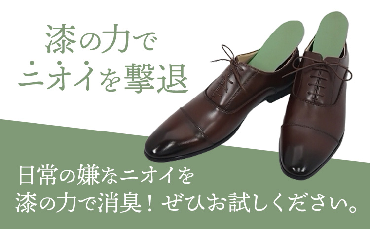 インソール 消臭 漆Ｉder A 朱 あらい有限会社《30日以内に順次出荷(土日祝除く)》 靴 消臭 漆 長持ち インソール ---kr_araiurusia_30d_r7_17000_r1s---
