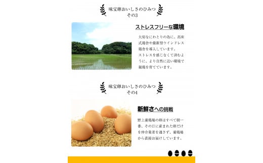 朝獲れ卵 味宝卵 (30個) 卵 Lサイズ： 鶏卵《90日以内に出荷予定(土日祝除く)》---iskr_ngmmihoran_90d_r7_8000_30p---