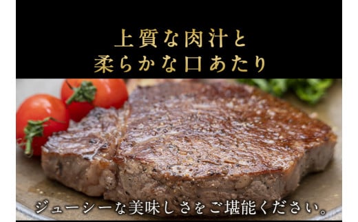 博多和牛 ヒレ肉 まるごと1本 約3.5kg 株式会社エム・ケイ食品《2月上旬-3月末頃出荷》---skr_cmkhire_af2_200000_3500g---