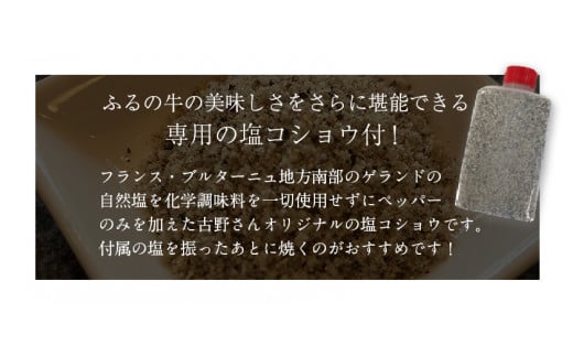 黒毛和牛特選サーロインステーキ 1500g(250g×3枚)2箱 A5 有限会社ふるの《30日以内に出荷予定(土日祝除く)》---skr_ffrnsirl_30d_r7_100000_1500g---