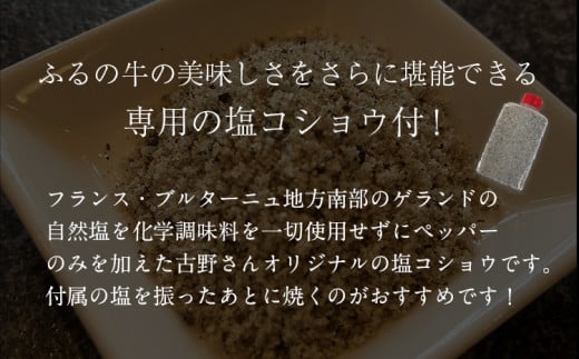 【3ヶ月定期便】ふるの牛 特選サーロインステーキ 750g(250g×3枚) 有限会社ふるの《お申込み月の翌月から出荷開始》---skr_fhrnsttei_r7_150000_mo3num1---