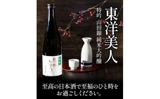 日本酒 新酒 東洋美人 特吟 山田錦 純米大吟醸 720ml 1本 福岡吟醸倶楽部株式会社《30日以内に出荷予定(土日祝除く)》---skr_gntybjn_30d_r7_11500_720ml---