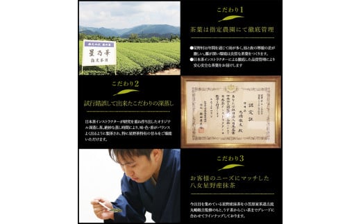 八女茶 煎茶ティーバッグ 計200パック (3g×100パック入り×2袋) 株式会社親和園《30日以内に出荷予定(土日祝除く)》---skr_snwympac_30d_r7_11500_200i---