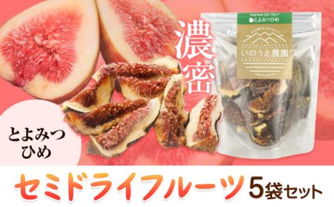 セミドライフルーツ 5袋セット とよみつひめ いのうえ農園 株式会社アジア開発貿易《30日以内に出荷予定(土日祝除く)》---skr_sdft_30d_r7_13000_t---