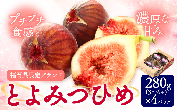 いちじく 無花果 とよみつひめ 280g×4パック《8月中旬-10月中旬頃出荷》福岡県 鞍手町 福岡県産 いちじく フルーツ 果物---skr_ctymt_26_q810_9000_1120g---