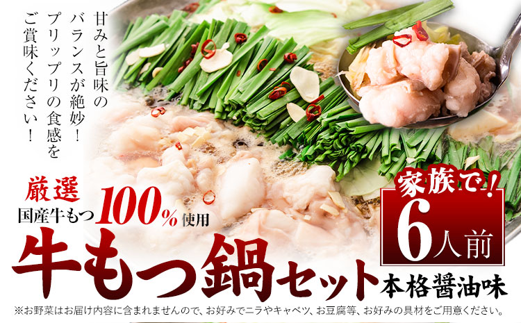もつ鍋 福岡 もつ鍋 鍋 国産牛小腸100％使用 牛もつ鍋セット 6人前（2人前×3セット） 本格醤油味《30日以内に出荷(土日祝除く)》牛もつ ちゃんぽん麺 唐辛子 ニンニク セット 博多 国産 ヤマタカ醤油 鞍手町---kr_fkmtnb_30d_25_8500_6i---