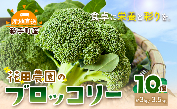 ブロッコリー 花田農園 の ブロッコリー 10個 花田農園 《11月下旬-3月末頃出荷》福岡県 鞍手町 ぶろっこりー 野菜 ブロッコリー 産地直送 送料無料---skr_chndbr_cf113_25_8500_3kg---