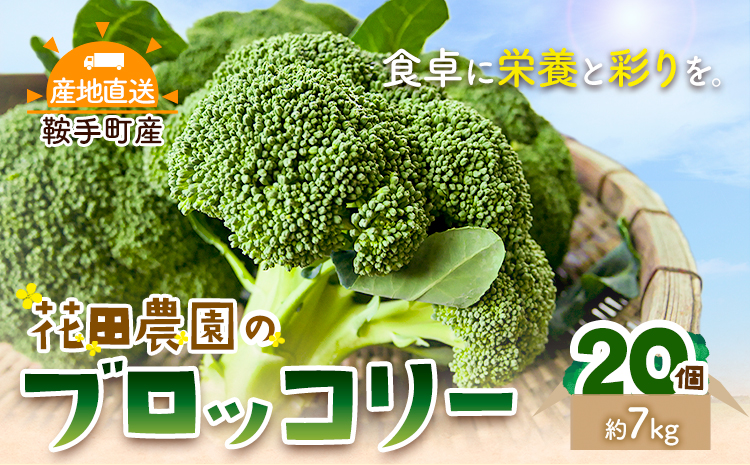 ブロッコリー 花田農園 の ブロッコリー 20個 花田農園 《11月下旬-3月末頃出荷》福岡県 鞍手町 ぶろっこりー 野菜 ブロッコリー 産地直送 送料無料---skr_chndbr_cf113_25_12000_7kg---