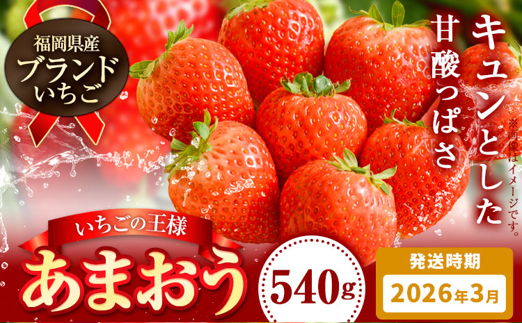 いちご あまおう 先行予約 いちご 大量 540g 選べる発送時期 定期便 フルーツ《2026年3月上旬-3月末頃出荷》苺 旬 くだもの 果物 福岡県 鞍手町---iskr_camoys_ac3_r7_7000_540g---