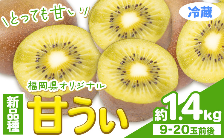 ☆2026年出荷☆ 甘うぃ 約1.4kg 9-20玉前後《10月中旬-11月末頃出荷》福岡県 鞍手郡 鞍手町 キウイフルーツ キウイ 福岡県オリジナル 新品種 甘うぃ 果物 くだもの フルーツ【配送不可地域あり】---iskr_clfkaw_bc10_26_12500_1400g---