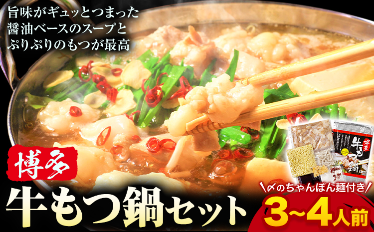 もつ鍋 博多 牛もつ鍋 セット 3-4人前 株式会社木村食品《30日以内に出荷予定(土日祝除く)》福岡県 鞍手郡 鞍手町 牛 牛肉 もつ 鍋 送料無料---skr_fkmrmt_30d_r7_11500_4p---