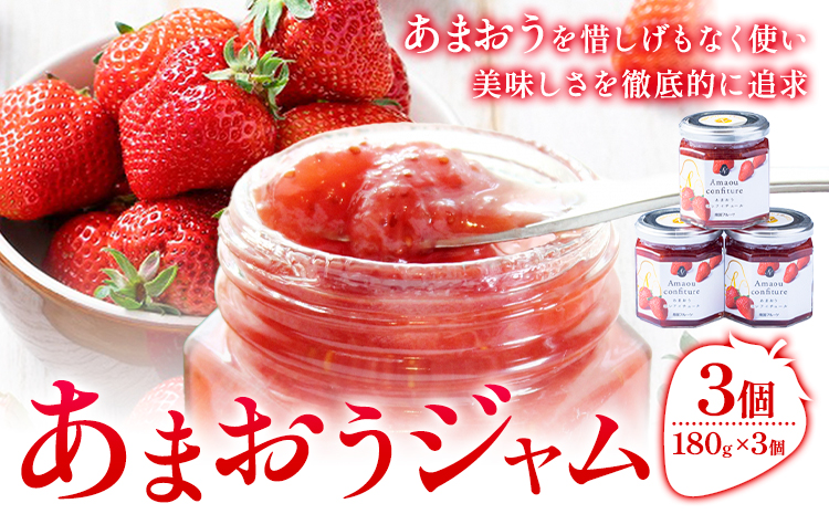 あまおうジャム 180g×3個 南国フルーツ株式会社《4月上旬-4月末頃出荷》福岡県 鞍手町 あまおう いちご ジャム 果物 送料無料---skr_nngkzm_ac4_26_11500_3i---