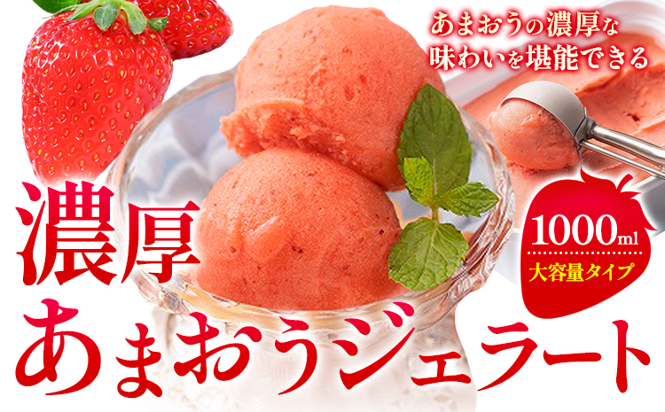 濃厚あまおうジェラート 1000ml 南国フルーツ株式会社《4月上旬-4月末頃出荷》福岡県 鞍手町 あまおう いちご ジェラート 果物 送料無料---skr_fnngknk_ac4_26_13000_1kg---