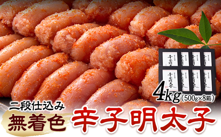 辛子明太子 無着色・二段仕込み 4kg ( 500g × 8箱 ) 株式会社博多の味本舗 《30日以内に出荷予定(土日祝除く)》福岡県 鞍手郡 鞍手町 めんたいこ 明太子 送料無料---skr_fhtajmtkn_30d_r7_52000_4kg---