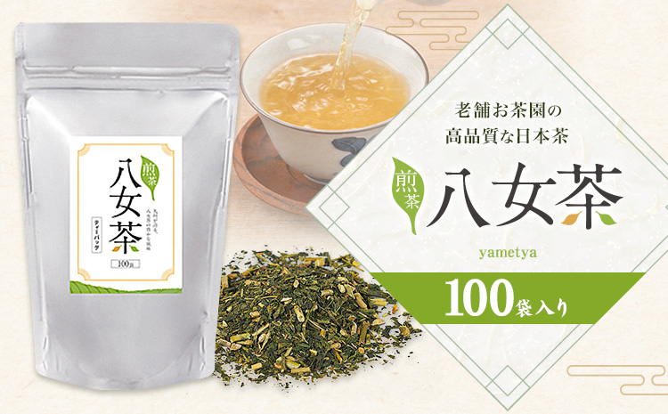 八女茶 ティーバッグ 200g 100パック 入り《30日以内に出荷予定(土日祝日除く)》福岡県 鞍手町 八女産 煎茶 日本茶 水出し 冷茶 送料無料---fn_krymctb_30d_r7_3500_100i---