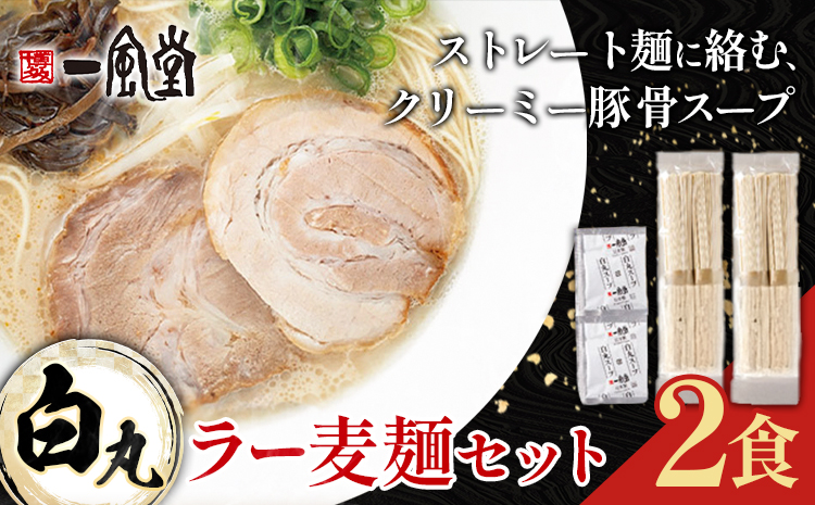 ラーメン 一風堂 白丸 ラー麦麺 セット 2食 地域商社ふるさぽ《90日以内に出荷予定(土日祝除く)》福岡県 鞍手町 ラーメン とんこつ 豚骨スープ 豚骨ラーメン ラー麦 麺---skr_fsipdr_90d_26_6500_2s---