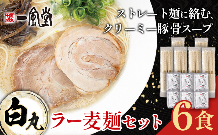 ラーメン 一風堂 白丸 ラー麦麺 セット 6食 地域商社ふるさぽ《90日以内に出荷予定(土日祝除く)》福岡県 鞍手町 ラーメン とんこつ 豚骨スープ 豚骨ラーメン ラー麦 麺---skr_fsipdr_90d_26_10000_6s---