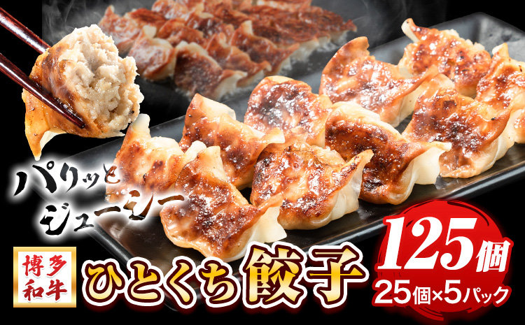 餃子 一口餃子 ひとくち 博多和牛 冷凍 25個 × 5パック 125個 清柳食産《30日以内に出荷予定(土日祝除く)》---skr_fsrhtktgz_30d_r7_13000_125i---