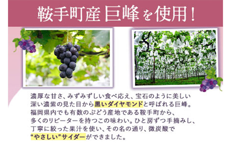 巨峰サイダー 250ml×12本 鞍手町《30日以内に出荷予定(土日祝除く)》ぶどう 直鞍農業協同組合 営農センター フルーツ---skr_jakyohosd_30d_r7_13500_12p---