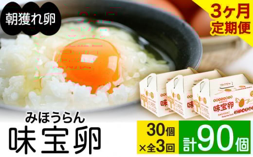 【定期便】計3回お届け 朝獲れ卵 味宝卵30個×3回お届け 卵 Lサイズ：鶏卵 《お申込み月の翌月より出荷開始》---iskr_ngmmhrtei_r7_22000_mo3num1---