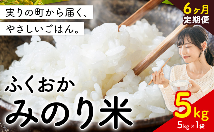 【6ヶ月定期便】 ふくおかみのり米 5kg 白米 《定期便：お申し込みの翌月から出荷》 お米 ごはん ご飯 rice kome---kr_hmnrhtei_25_65500_5kg_mo6---