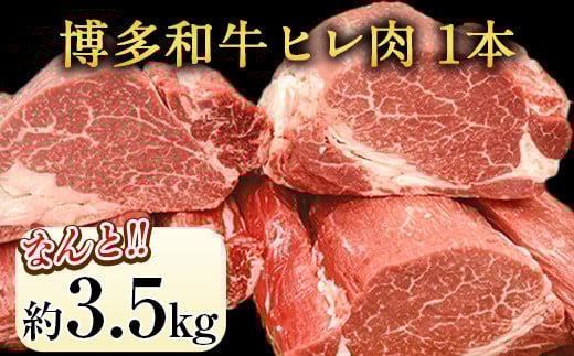 博多和牛 ヒレ肉 まるごと1本 約3.5kg 株式会社エム・ケイ食品《2月上旬-3月末頃出荷》---skr_cmkhire_af2_200000_3500g---