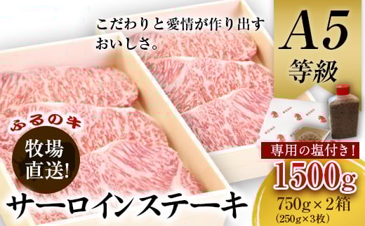 黒毛和牛特選サーロインステーキ 1500g(250g×3枚)2箱 A5 有限会社ふるの《30日以内に出荷予定(土日祝除く)》---skr_ffrnsirl_30d_r7_100000_1500g---